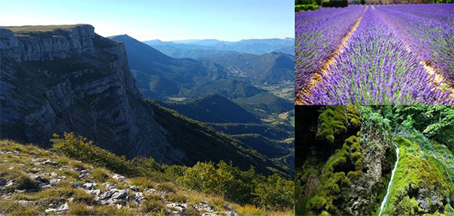 Valence (26) Formation de Naturopathie - Collège de Naturopathie Ressourcée
