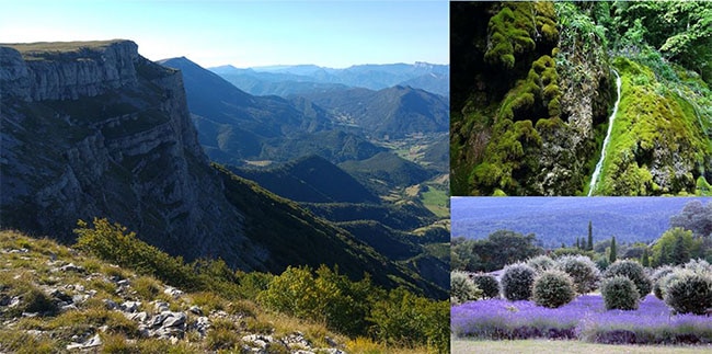 Lyon - Grenoble Formation de Naturopathie - Collège de Naturopathie Ressourcée