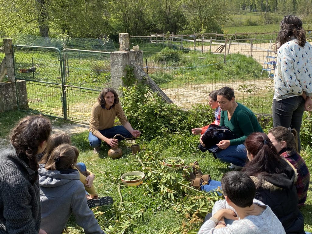 Groupe de personnes en formation à la naturopathie dans la nature