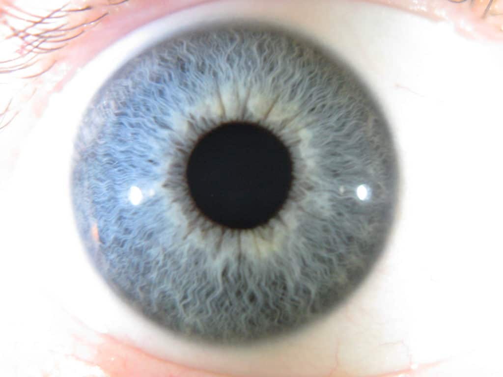Gros plan sur l'iris d'un oeil pour la formation en iridologie