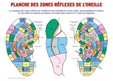 Planches de massages auriculaires