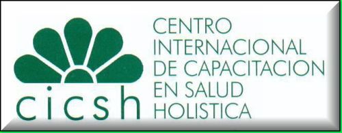 Logo du CICSH