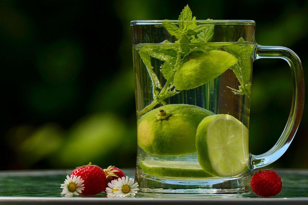 Formation professionnelle d'accompagnateur en séjour de jeûne - CNR