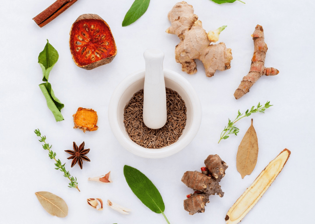 Herbes et plantes pour la naturopathie