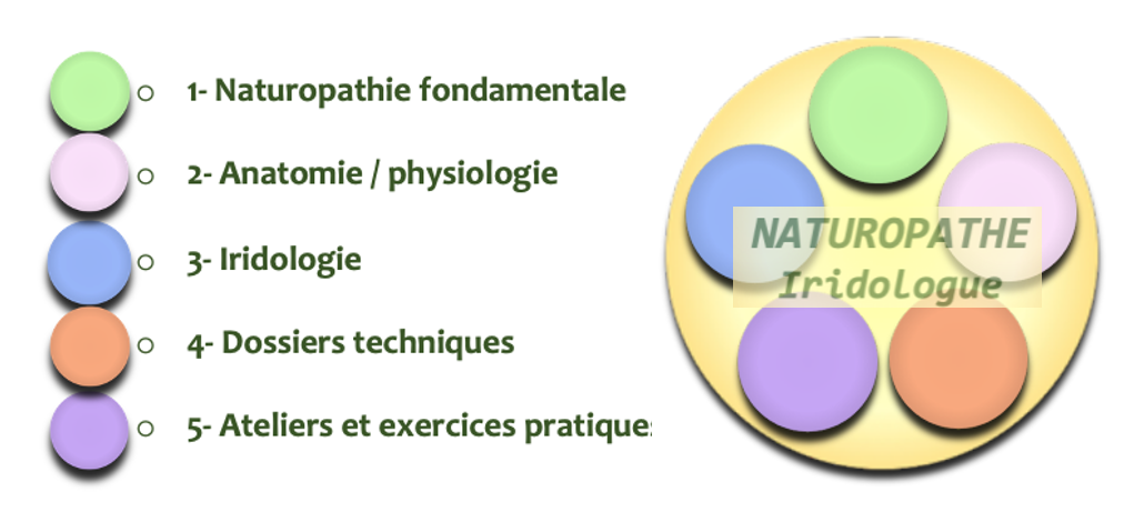 CNR - Naturopathie Formation Tronc commun