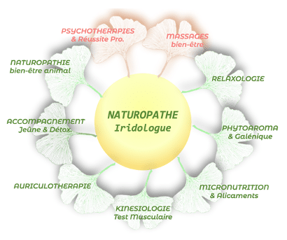 Formation d'Iridologue Naturopathe avec le Collège de Naturopathie Ressourcée