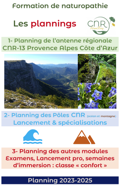 Naturopathie Marseille planning