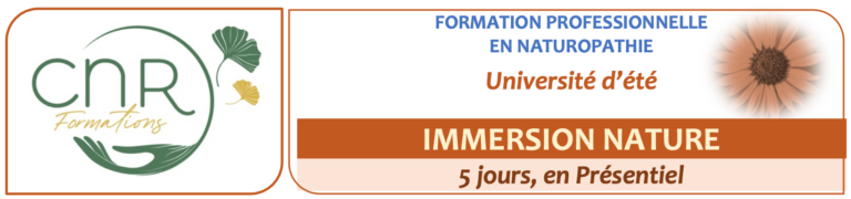 CNR - Université d'été - Immersion 2024