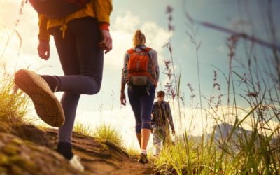 Représentation "prêt pour la visite" du Collège de Naturopathie Ressourcée