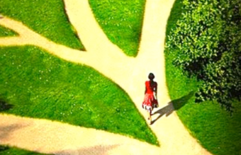 Sentiers qui ouvrent plusieurs chemins